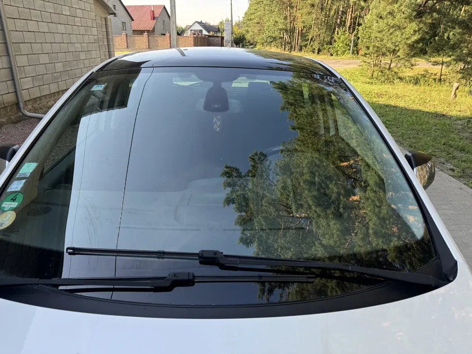 Губка-антидощ для очищення від водяного каменю Nova CarView Pro